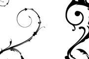 Vector flowers silhouettes
